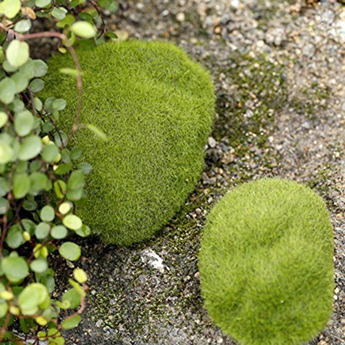 shiningup Simulation Moos Stein Garten Miniatur-Craft Micro Landschaft Dekorationen, plastik, 6cm - 2