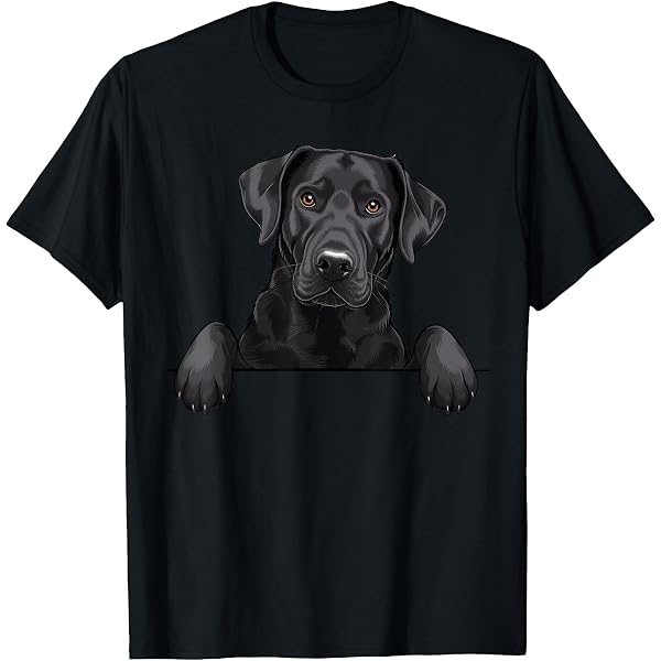 T-Shirt Homme Funny Golden Retriever 'Don't Stop Retrieving' - Coton Gildan 5000 - Taille Au Choix
