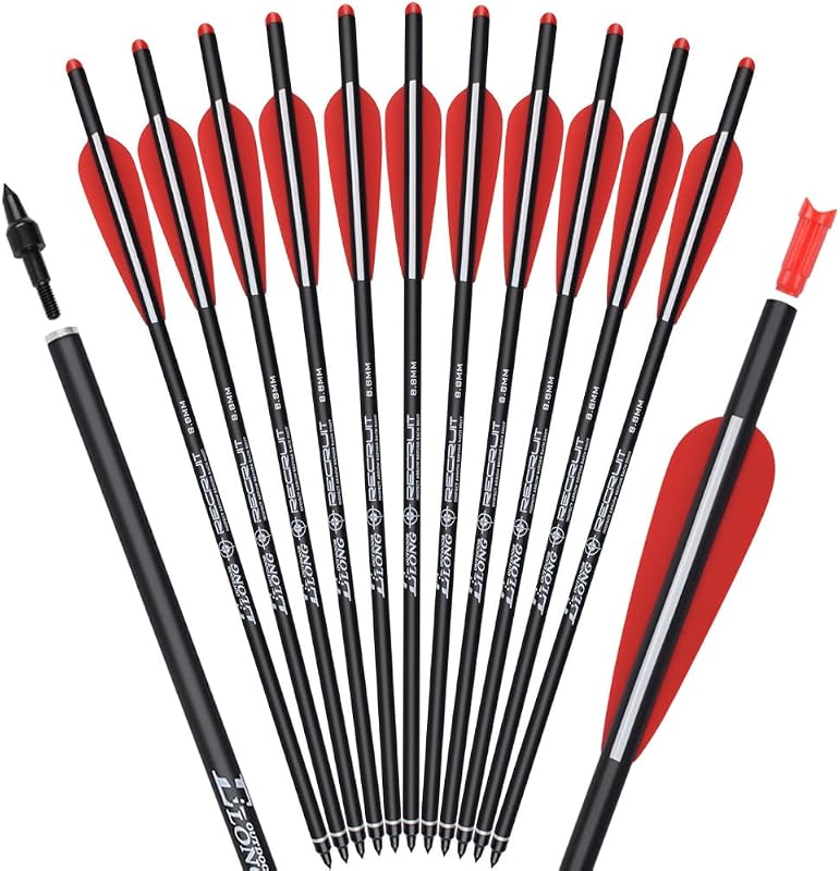 TY Archery 12 tornillos de ballesta de carbono, 16, 18, 20, 22 pulgadas, para caza, tiro con arco, flechas con tornillo de mariposa de 4 pulgadas, punta de flecha de repuesto