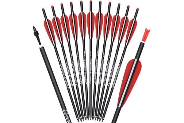 TY Archery Lot de 12 vis d'arbalète en carbone 45,4 cm, 16, 18, 20, 55,6 cm, pour la chasse, le tir à l'arc avec vis à ailettes de rechange, pointe de flèche