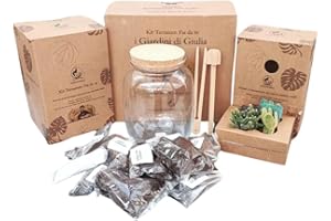 I GIARDINI DI GIULIA Kit Terrarium DIY pour plantes succulentes – Les jardins de Giulia – Avec vase en verre, bouchon en liège, plantes succulentes, accessoires, substrats et éléments décoratifs – Facile à assembler