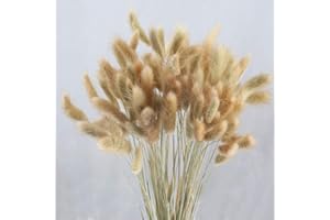HUAESIN 100PCS Erba della Pmapas Fiori Secchi Decorativi Bouquet Fiori Essiccati Naturali Decorativi Pampas Secca per Interno Pampas Grass Fiori Secchi per Decorazioni Casa Soggiorno Matrimonio Tavolo