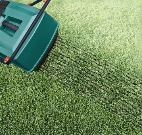 Electric Rakers Bosch ALR Electric Lawn Raker, 900 W | Garden Outdoor Store