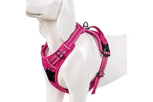 WINHYEPET True Love Harnais pour Chien Harnais Anti Traction pour Chien Réfléchissant Réglable, Harnais Rembourré Sécurisé, Harnais pour Chien Moyen et Grand, TLH5651(Fuchsia,S)
