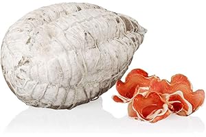 Fiocco, Charcuterie de Porc Maigre, produit typique italien, Salumi Pasini, 1,7 kg