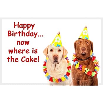 Chocolate Brown Labrador And Golden Yellow Labrador Dog Funny