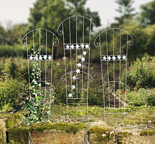 Frank Flechtwaren, 229224: Großes Rankgitter im 3er Set aus Metall, silber-farben - 6