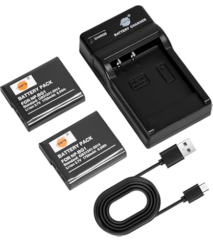 NP-BG1 Lot De 2 Batteies 1500 MAh Avec Double Chageu LCD