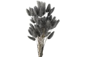 FENGCHUANG Pampasgras Getrocknet Trockenblumen, Pampasgras Deko, 45cm 50 Stück Getrocknete Natürliche Pampasgras Pflanzen Flauschige Trockenblumen (Grau)