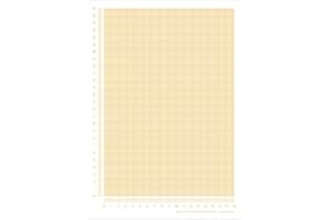 ‎PUK KRÄMMER GMBH PuK Millimeterpapier Block DIN A4 | seitlich abgedrucktes Lineal | 25 Blatt zum Abreißen | mathematisches Papier | zum Beschreiben und Skizzieren (DIN A4)