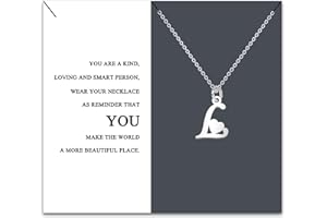 HEYEJET Originales Collar Inicial Acero Inoxidable, Collar Mujer con Colgante Letra A-Z Pequeñas - Bisutería Regalo Madre Hija Cumpleaños Novia o Amigas Regalo Con Tarjeta Inspiradora