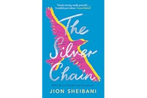 The Silver Chain: a beautiful verse novel celebrating the healing power of music (Sago Mini)