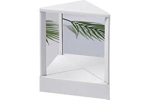 IGTOPS True Mirror Non Reversing, Real Mirror Non Reversing, Non Reversing Mirror, Triangular Fixed Non-Reversing Mirror, Non Reversing Mirror for True Image (A)