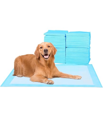 Pawinner 40-teiliges PIPI Matten für Hunde Set Con Silikonmatte, 62 X 62 cm rutschfeste Trainingspads für Hunde, Auslaufsicheres 5-Lagiges, Saugstarke Welpen Unterlagen, Schnell Trocknender