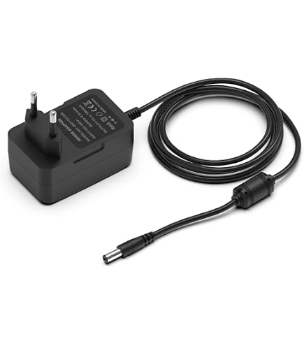TOP CHARGEUR Caricabatterie 5V Con Cavo 110cm Per Radio Pure One Flow (5.5V) – Alimentatore A Spina