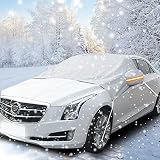 Winterabdeckung Scheibenabdeckung