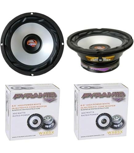 1 DS18 6PRO300MB-4 professionele mid-bass luidspreker 16,5 cm 165 mm 6,5, 150 watt rms en 300 watt max, 4 ohm, 96 db, deuren, voor auto's, 1 stuk