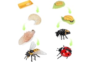 SIENON 8 Stücke Insekt Lebenszyklus Figuren von Honigbiene und Marienkäfer-Plastik Insekt Tier Wachstumszyklus Kit Montessori Spielzeug Lernwerkzeuge Schule Projekt für Kinder 3-8 Jahre alt