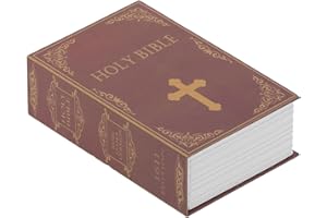 CERSALT Cassaforte a libro falso, Cassaforte Risparmia denaro Lucchetti a combinazione per custodia per password regalo