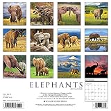 Image de Elephants 2017 Calendar