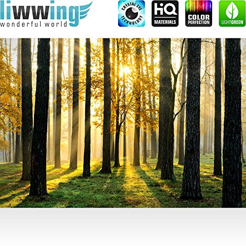 Vlies Fototapete 350×245 cm PREMIUM PLUS Wand Foto Tapete Wand Bild Vliestapete – SUNLIGHT FOREST ll – Wald Bäume Sonnenstrahlen grün grün Ruhe – no. 062 - 2