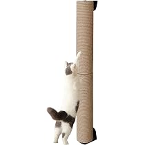 Katzenleiter über 5m Lang | Kaufen Auf