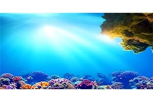 MIRRORANG 91x50cm Undersea Aquarium Background Sunshine Blue Sea Coral Reef Underwater World Fish Tank Poster Backdrop