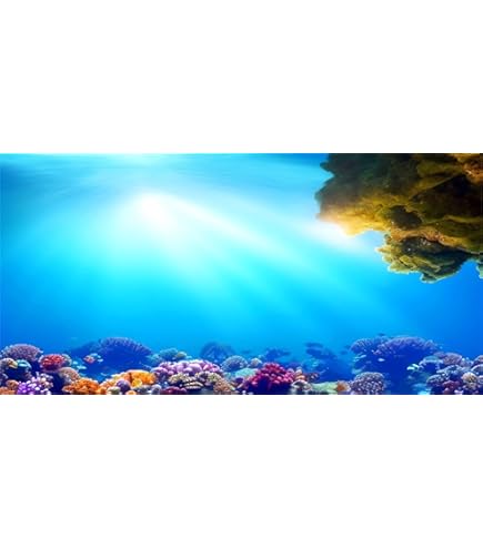 Sfondo Per Acquario Stile Deserto E Tramonto - Adesivo In PVC, Facile Da Applicare - Foto 7