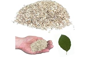 Down the Cove 100g Beech Wood Chips - Fine (approx 2mm) for Hot Smokers/Smoking Ovens/Smoking Guns