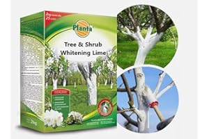 TRANS - PAL Whitening Lime for Trees & Shrubs – Protects from Frost, Sunscald & Pests | Improves Soil & Garden Aesthetics (1KG)