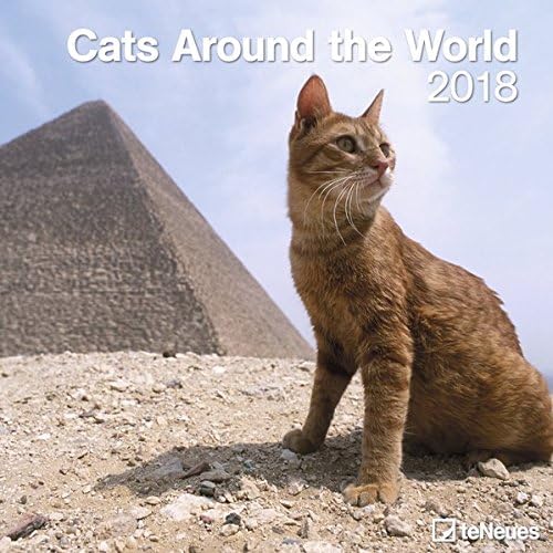 2018 Cats Around the World Calendar - teNeues Grid Calendar - Humour Calendar - 30 x 30 cm