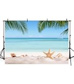 Zomervakantieachtergrond Met Tropisch Strand Een Palmboom Blauwe Zee En Plezierboot Vector Image185371380