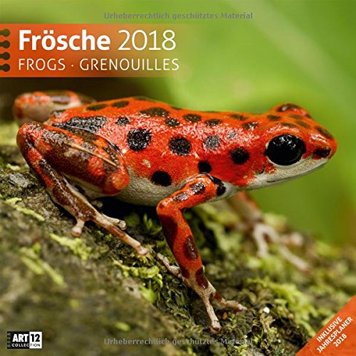 Frösche 2018 Art12 Collection: Broschürenkalender