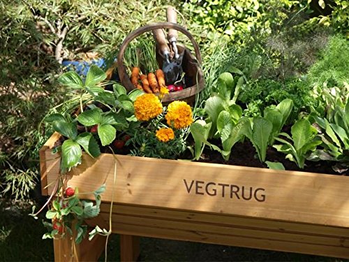 VegTrug Pflanztrog aus Holz, 1 m breit – kleine Ausführung - 2