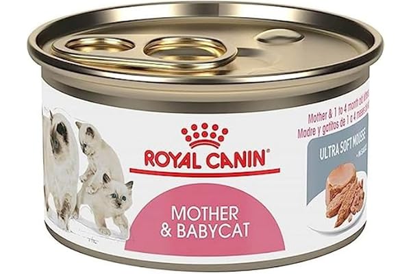 ROYAL FELINE MOTHER BABYCAT CAJA 12X195GR