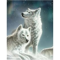 SHEGZHUC Diamond Square Painting Lupi 40x40 cm Diamond Painting Animali Lupo Foresta Kit Quadri con Perline Lupo Paint Diamond Tramonto Puzzle 5D Neve Diamond Diamond Painting Paesaggi Invernali