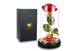DREAM OF FLOWERS Roses Eternels Cadeau Fête des Mères Rose Eternelle sous Cloche Romantique pour Femme dans Un dôme en Verre avec lumière LED Base en Bois pour Mariage,Saint-Valentin Rose Rose éternell