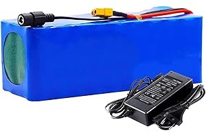 OMURGA 24V 25.2V 10Ah E-Bike Batteria Agli Ioni Di Litio, Ciclomotore Per Bicicletta Elettrica Batteria Elettrica Ioni Di Litio Caricabatterie [Classe Di Efficienza Energetica A] 25.2V 10AH,XT60