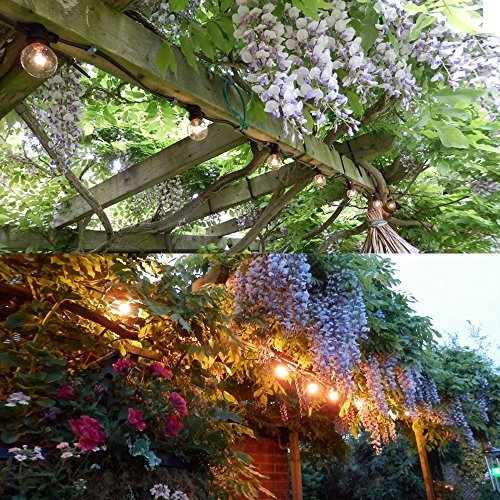 Lichterkette mit 25 Glühlampen Garten Außen- und Innenbereich 25 ft Warmweiß, End-to-End – CE Listed Wasserdicht (Incandescent Bulbs Included) EU Plug - 4
