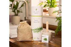 Plant Theory Grow Your Own Kit Gift Set & Vegan Compost 5 Biodegradable Pots & 100% Plastic Free 28cm (Zesty Herb Kit)