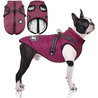 Amazon.de Bestseller: Die beliebtesten Artikel in Winterjacken &  Wintermntel fr Hunde