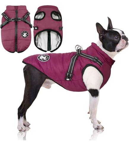 Cappottino Reversibile Per Cani Kurgo Loft, Impermeabile E Riflettente, Taglia M (collo 45cm, Petto 66-89cm)