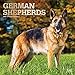 German Shepherds - Deutsche Schäferhunde 2020 - 16-Monatskalender mit freier DogDays-App: Original BrownTrout-Kalender [Mehrsprachig] [Kalender] (Wall-Kalender) by 