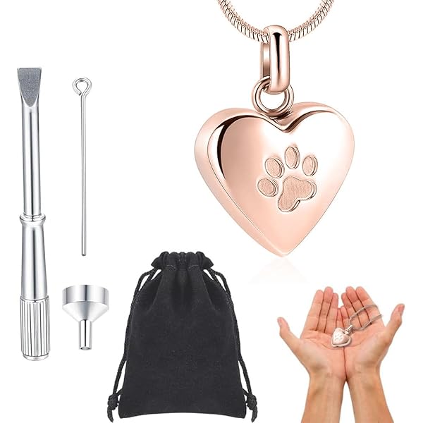 Portachiavi Urna Ceneri Animali Domestici - Acciaio Inox, Con Ciondolo Zampa, Commemorativo - Foto 8