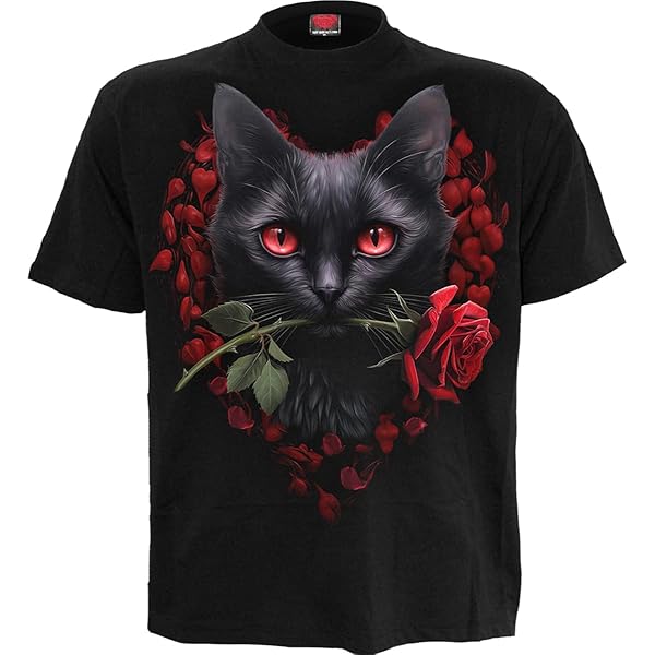 Pokémon Salamèche Homme T-Shirt Manches Courtes Noir Regular/Coupe