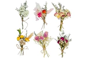 LEEQ Ramo De Flores Secas Pequeño - para La Artesanía, Marco De Fotos DIY, Fiesta En Casa Y Decoraciones De La Boda, 6pcs
