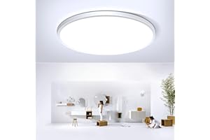 LIGHTINGWILL 24W LED Flush Mount Ceiling Light, 6500K Daylight White Bathroom Light, 2000LM, Flat Modern Round Lighting, 240W Equivalent White Ceiling Lamp for Kitchens, Hallway, Bedrooms.etc. 10.6in/27cm