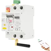 Differential auto resettable wifi Differential 40a 30ma Resettable differential switch type A Leak protection 220V 2P, TUYA c