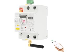 DEWINLVD 40A Salvavita con riarmo automatico wifi Interruttore differenziale a riarmo automatico Differenziale riarmo controllo TUYA disponibile in modalità auto AC 220V 40A 30mA.