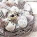Produktbild Osterserviette - Motiv Eier im Nest, 33x33cm